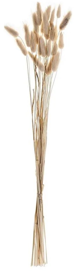 Eglo 428039 - Sušený kvet GUIPOS 60 cm béžová 428039