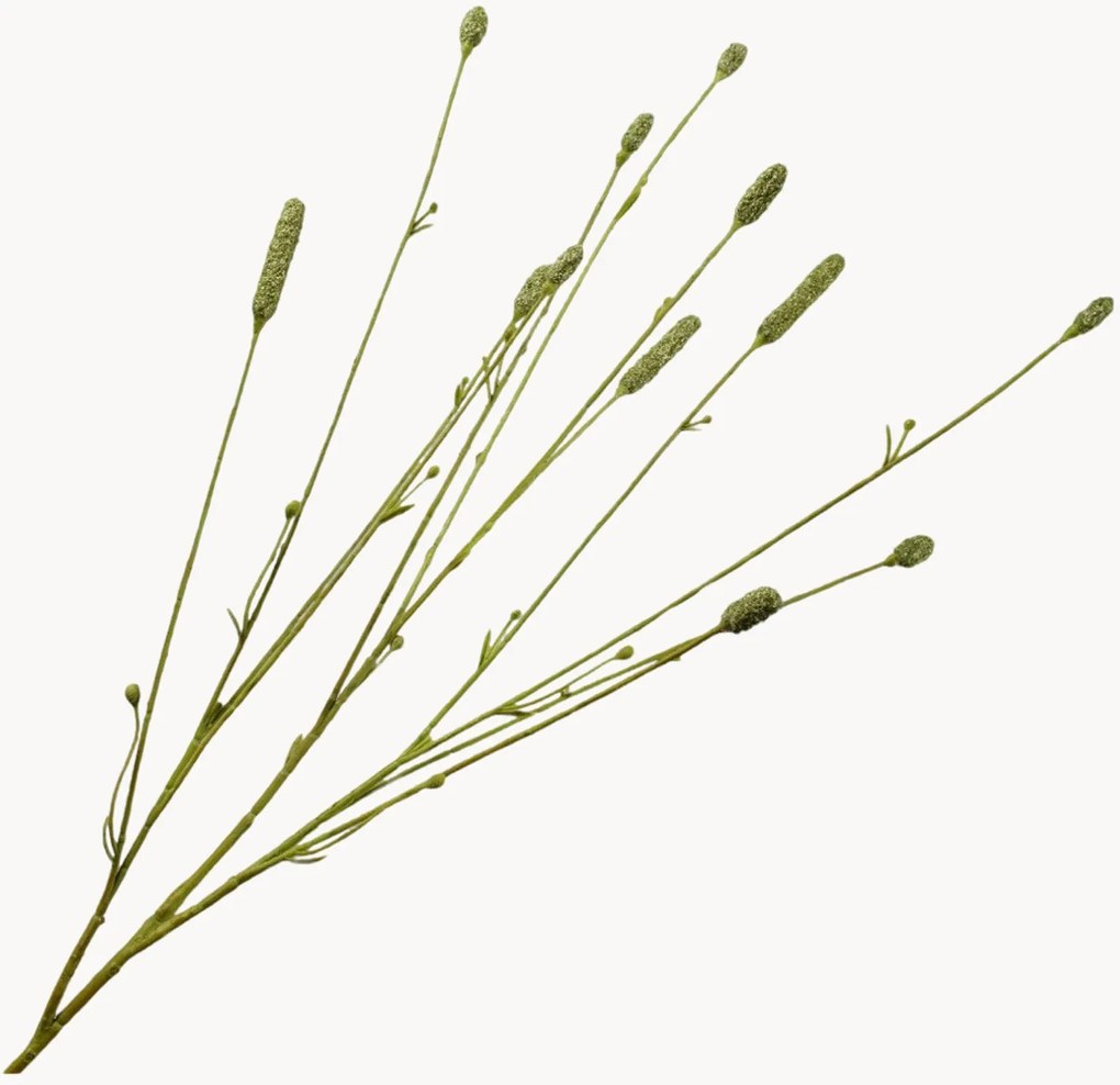 Rastlinná dekorácia Pimpernel