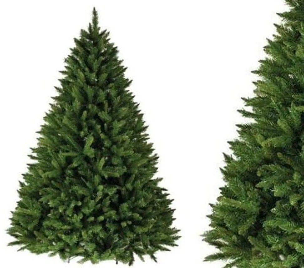 Evergreen Vianočný stromček - kaukazský smrek - 150 cm