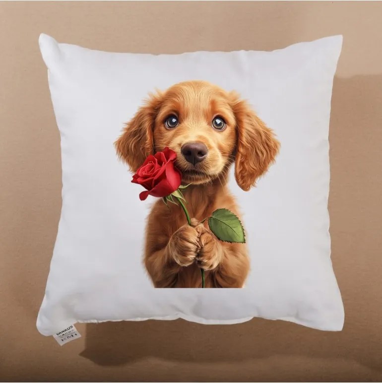 Dekoratívny vankúš Maxie 40x40 cm EMI