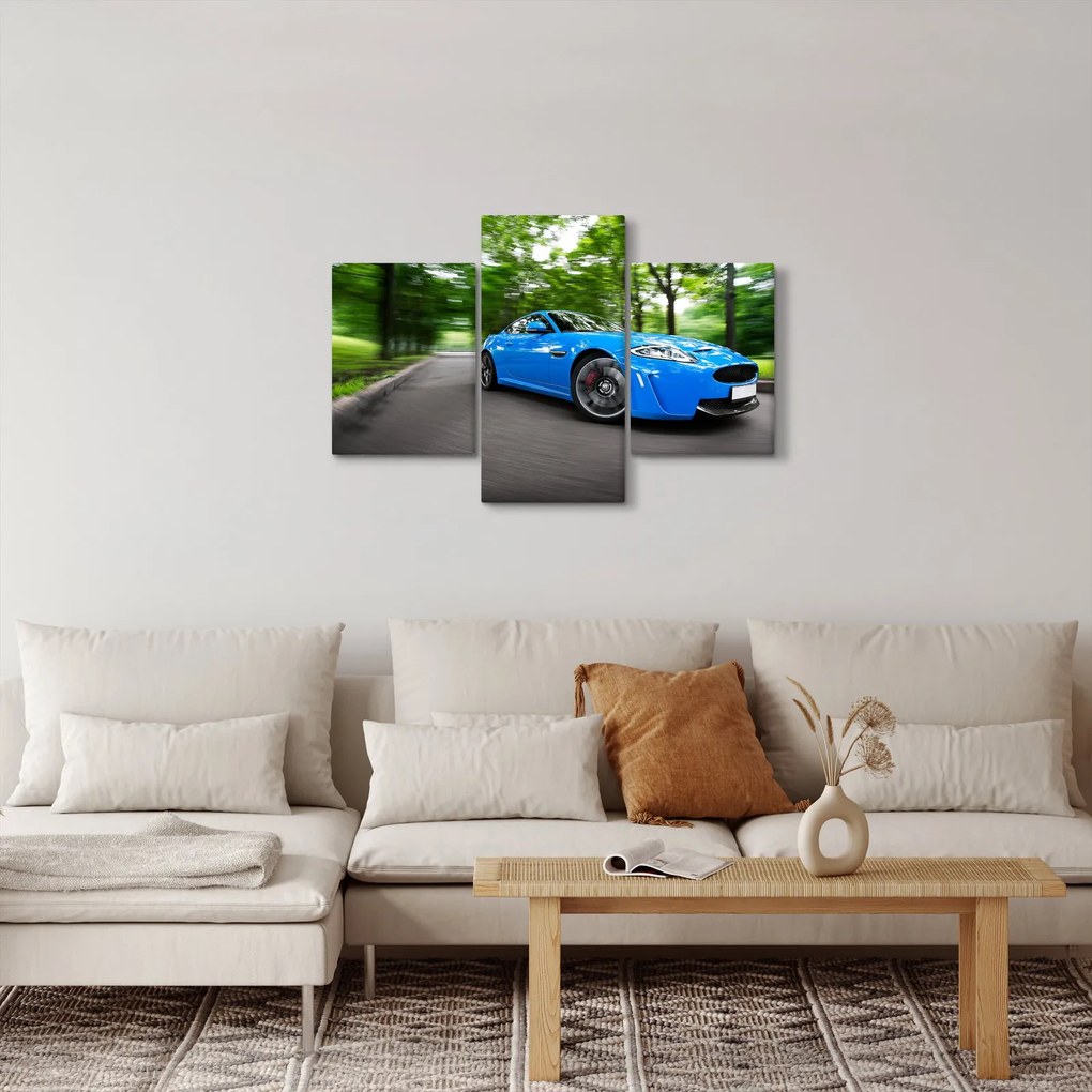 Obraz - Závodné auto (90x60 cm)