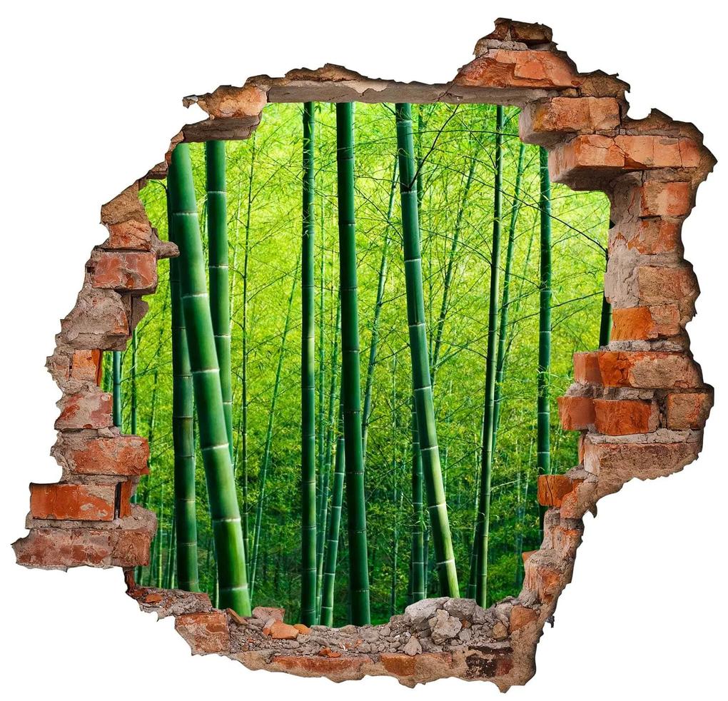 Samolepka na stenu Bambusový les