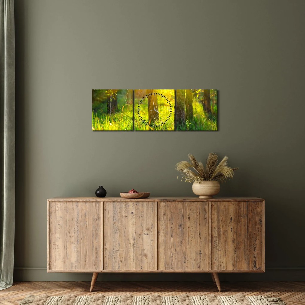 Obraz - Jarné prebúdzanie lesa (s hodinami) (90x30 cm)