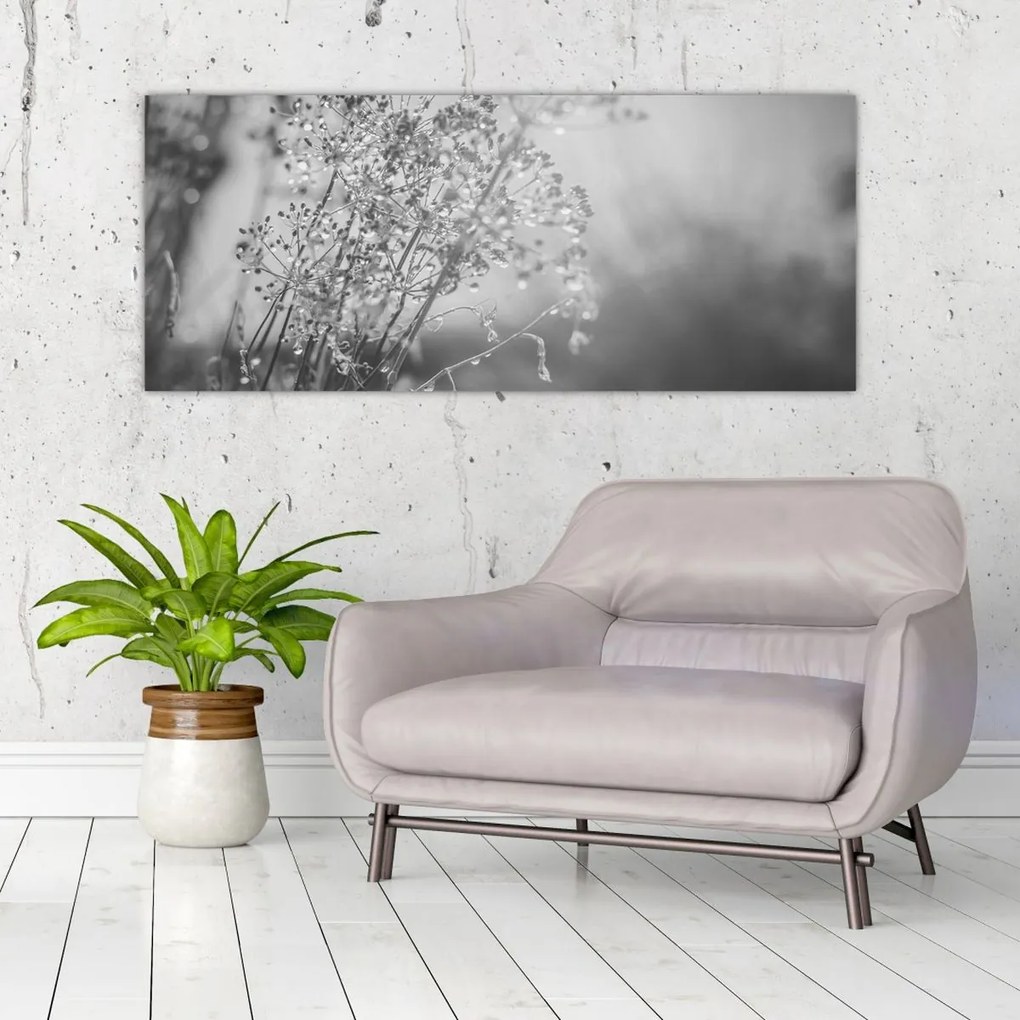 Obraz - Lúka po daždi (120x50 cm)