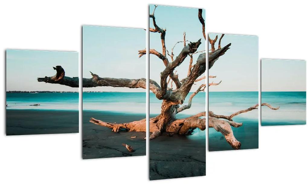 Obraz - Vyplavenie na pláži (125x70 cm), 40 ďalších rozmerov