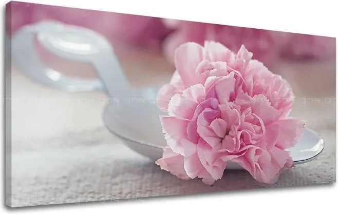 Obraz na stenu PANORÁMA KVETY KV100E13 - 30x60 cm