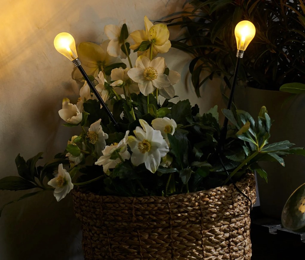 Zapichovacie svietidlá s LED, 2 ks