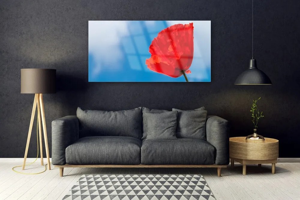 Obraz na akrylátovom skle Tulipán 120x60 cm