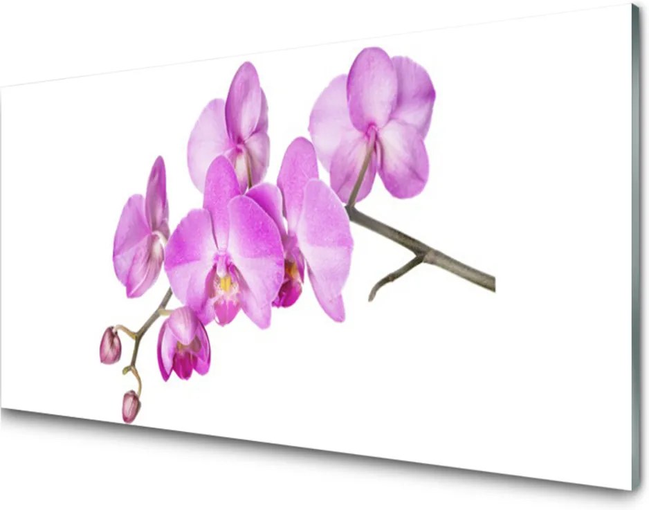 Sklenený obklad Do kuchyne Vstavač Orchidea Kvety