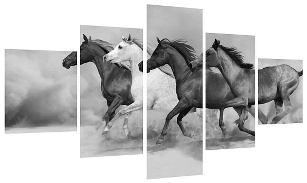 Čiernobiely obraz koní (K012065K12570)