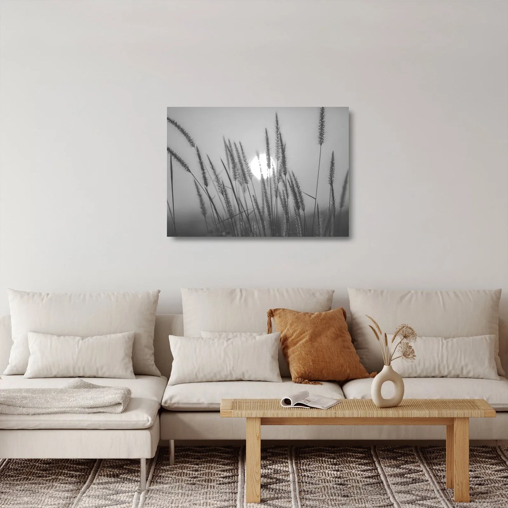 Sklenený obraz - Lúka pri západe slnka (70x50 cm)