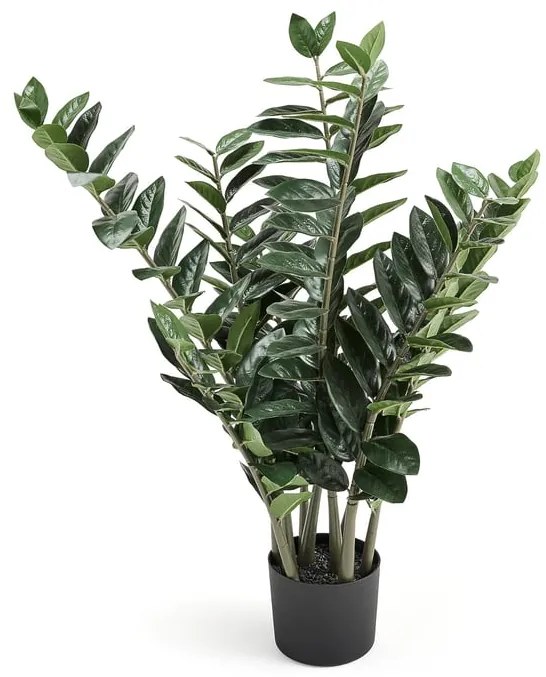 Umelá rastlina EVERGREEN, kulkas zamiolistes, výška 1000 mm, 1 ks