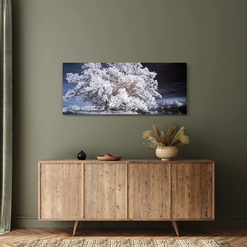 Obraz - Snehobiely strom (120x50 cm)