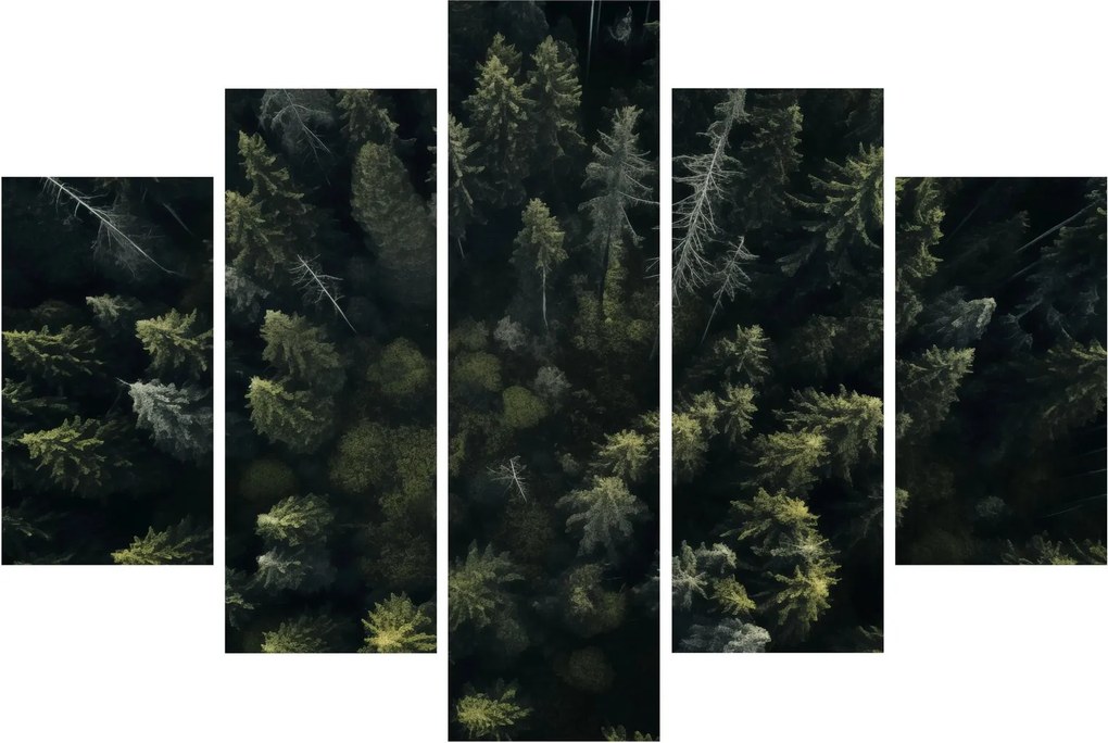 Obraz - Les (150x105 cm)