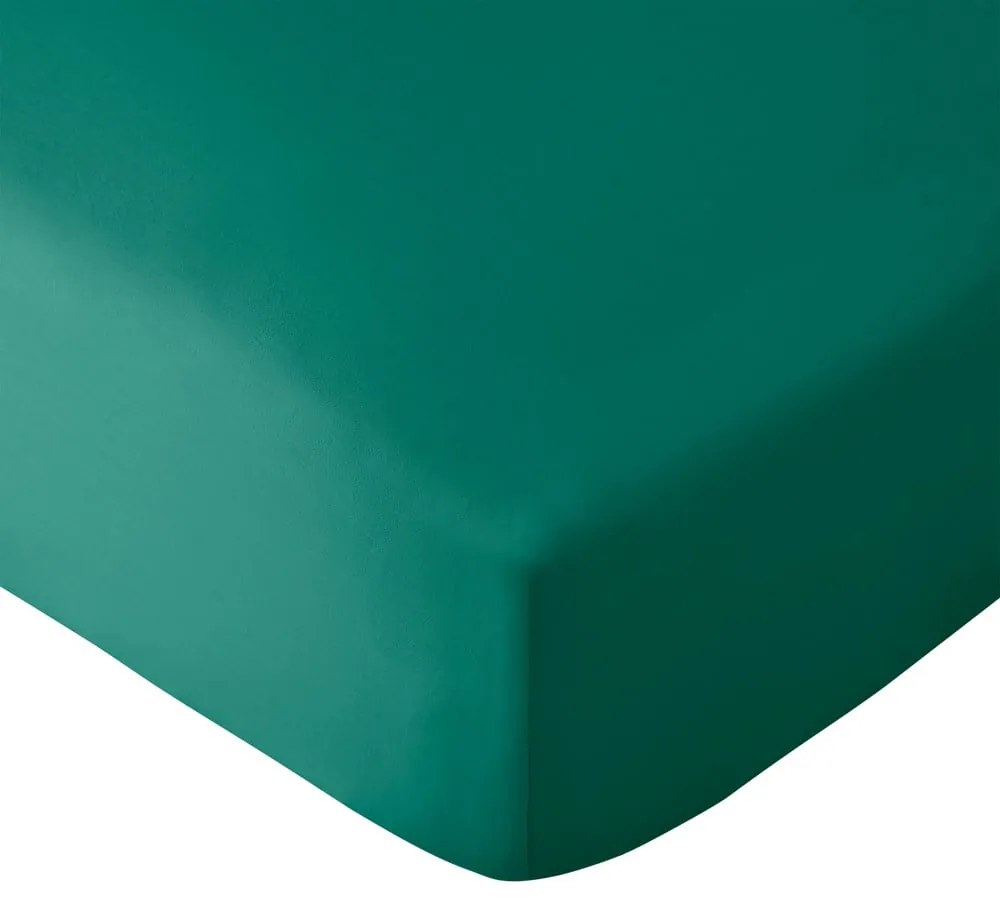 Tmavozelená napínacia plachta z mikrovlákna 185x200 cm So Soft Easy Iron – Catherine Lansfield
