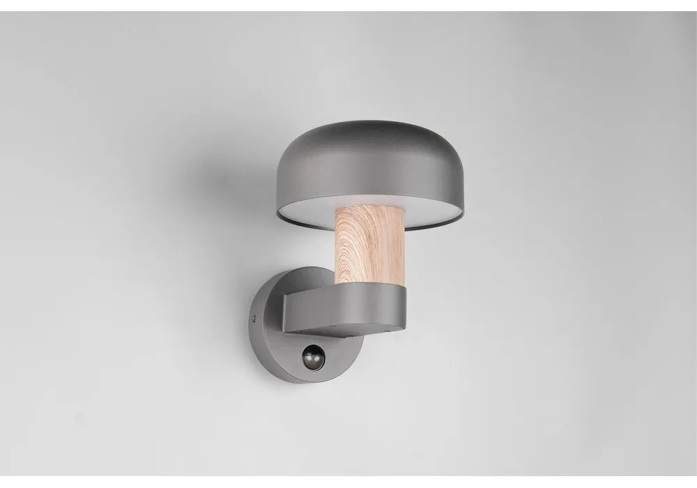 Nástenné vonkajšie svietidlo (výška 24,5 cm) Fraser – Trio