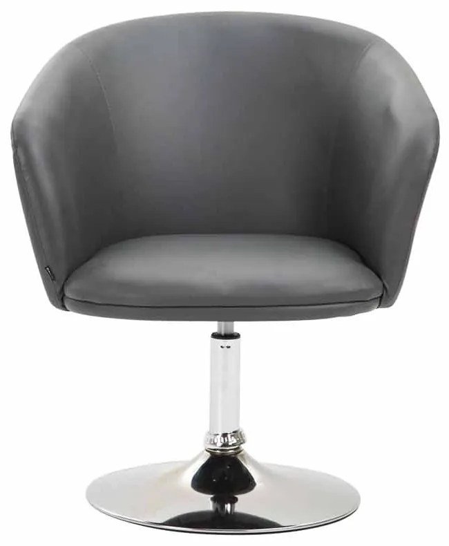 Design-Shop Kreslo Arcade lounger - Sivá