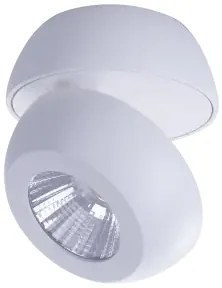 LED bodové svetlo Ojos 1 biele