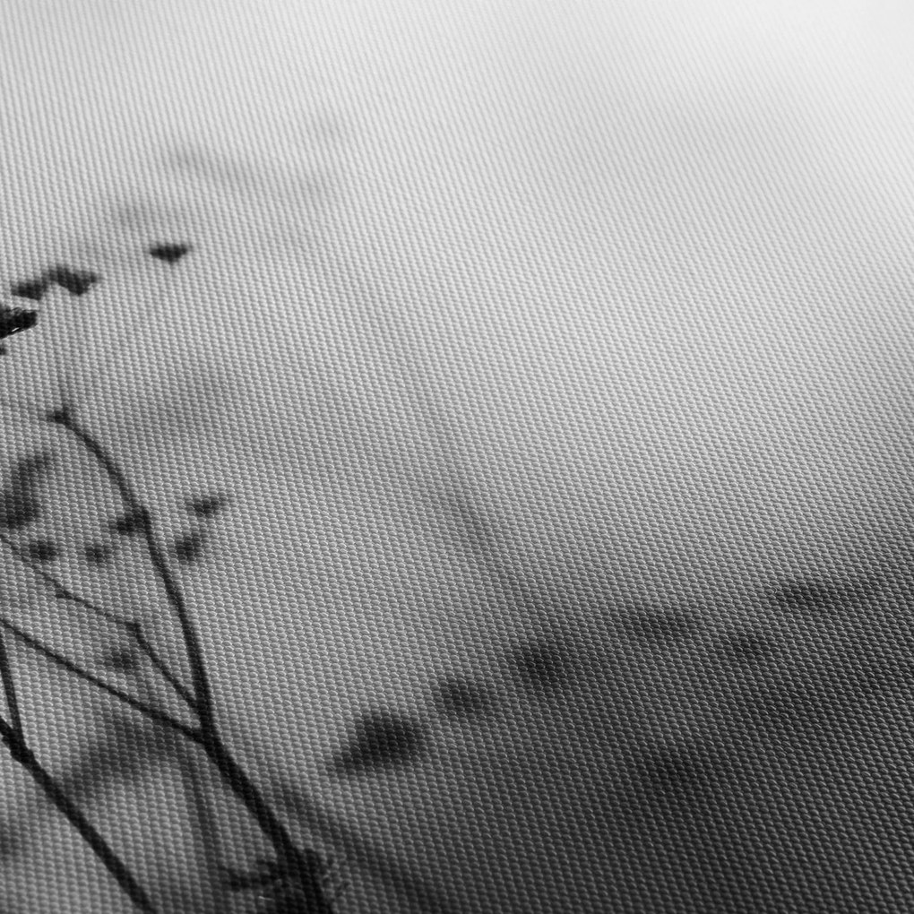 Obraz - Detail lúčnych kvetov (120x50 cm)
