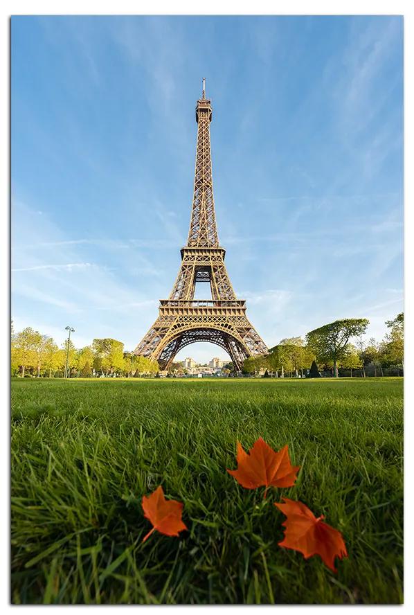 Obraz na plátne - Ráno v Paríži - obdĺžnik 736A (60x40 cm)