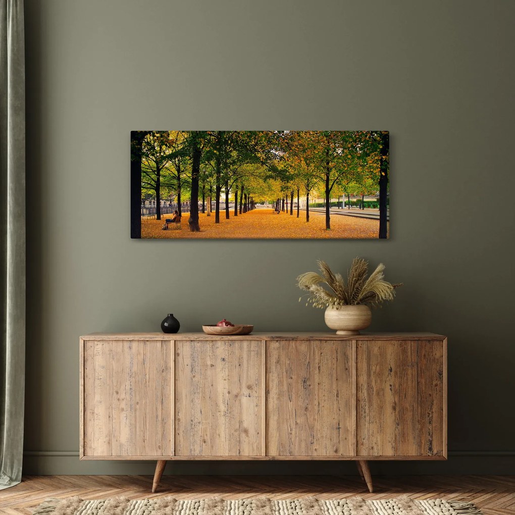 Obraz aleje jesenných stromov (120x50 cm)
