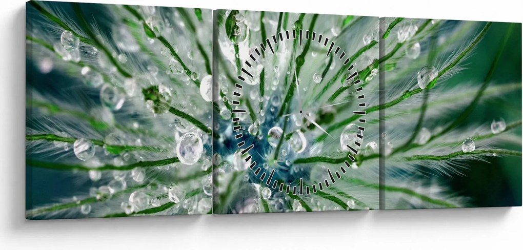 Obraz - Makro snímka kvetu (s hodinami) (90x30 cm)