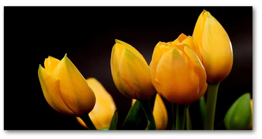 Foto obraz akrylový do obývačky Žlté tulipány pl-oa-140x70-f-64836622