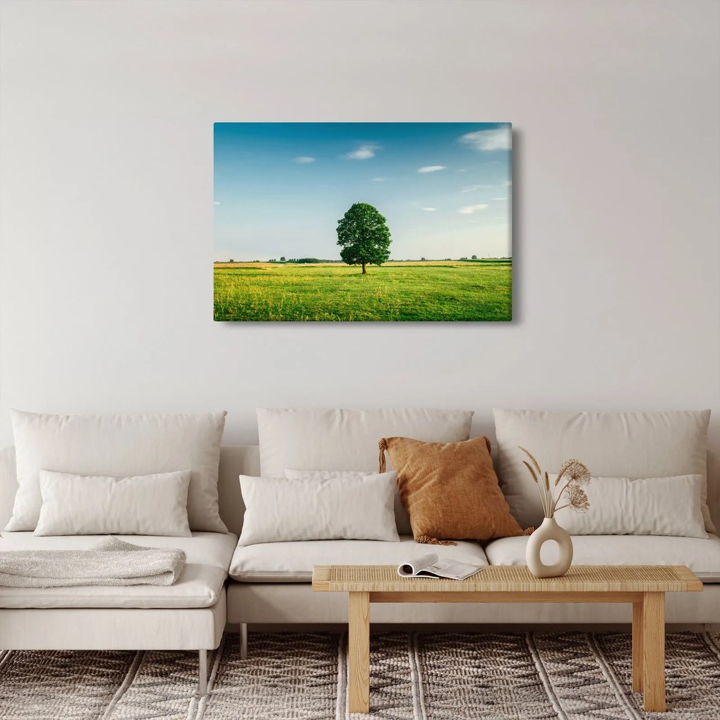 Obraz stromu na lúke (90x60 cm)