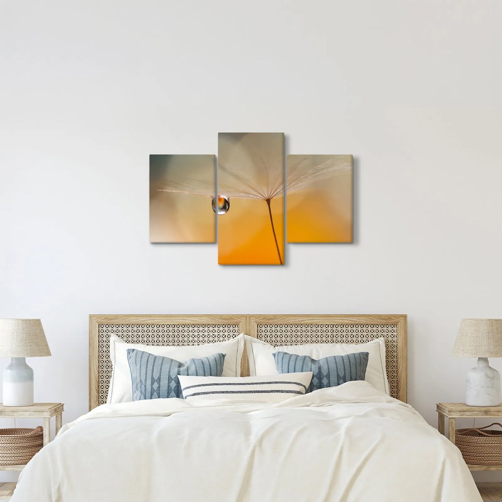 Obraz - Makro kvetu (90x60 cm)