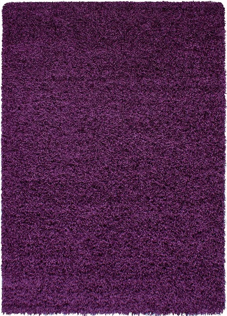 Koberce Breno Kusový koberec DREAM SHAGGY 4000 Lila, fialová,60 x 110 cm
