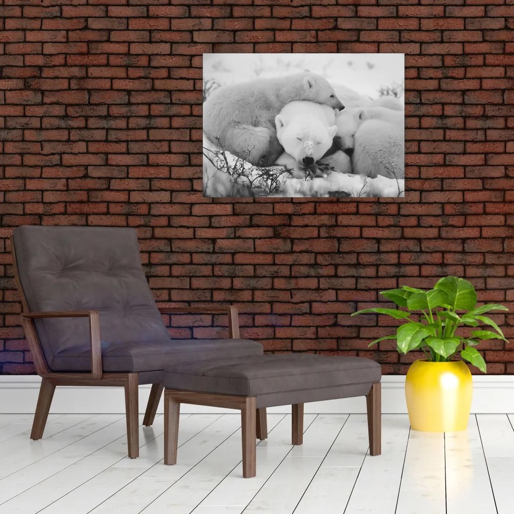 Obraz - Ľadové medvede (70x50 cm)