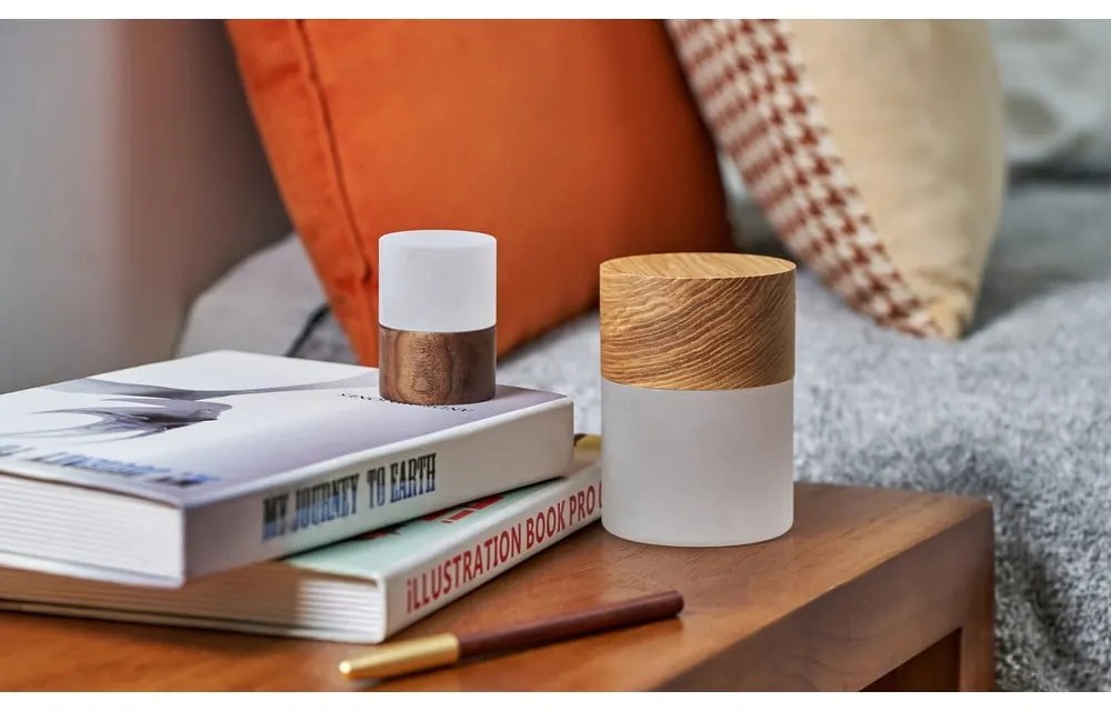 Stmievateľná stolová lampa v prírodnej farbe so skleneným tienidlom (výška 10,5 cm) Lemelia - Gingko