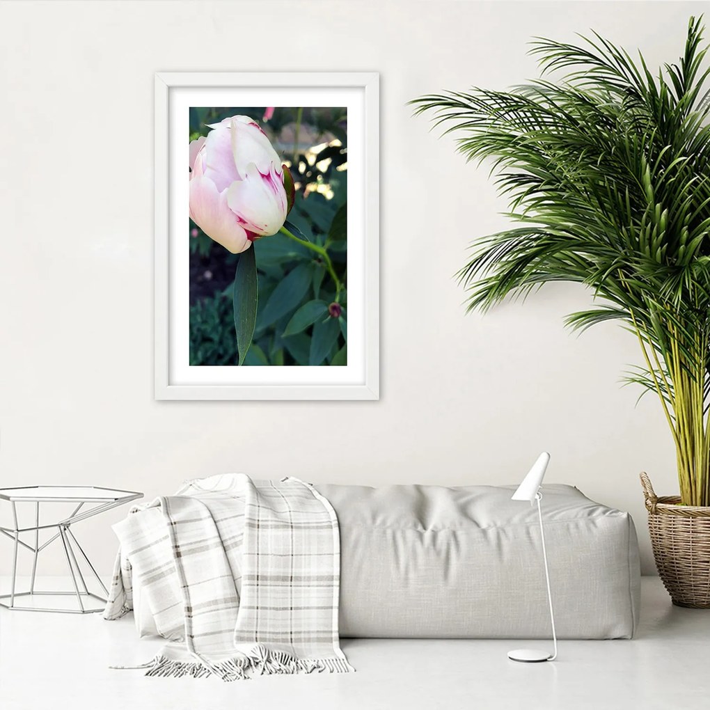 Gario Plagát Biela pivonka Farba rámu: Bez rámu, Rozmery: 30 x 45 cm