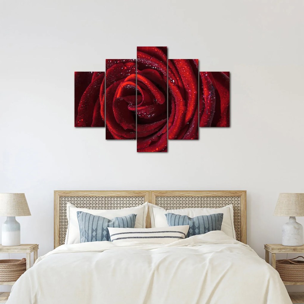 Obraz - Červená ruža s kvapkami rosy (150x105 cm)