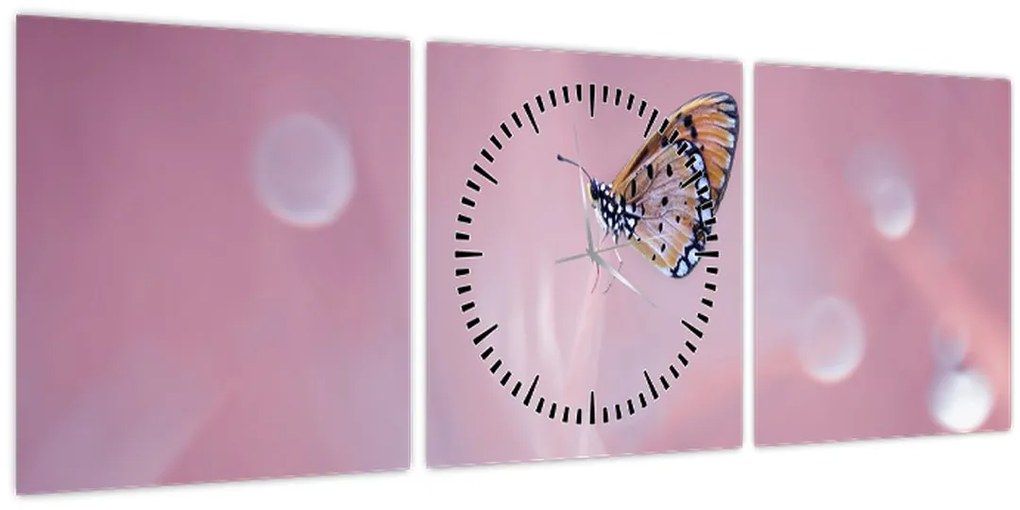 Obraz - Motýľ (s hodinami) (90x30 cm)
