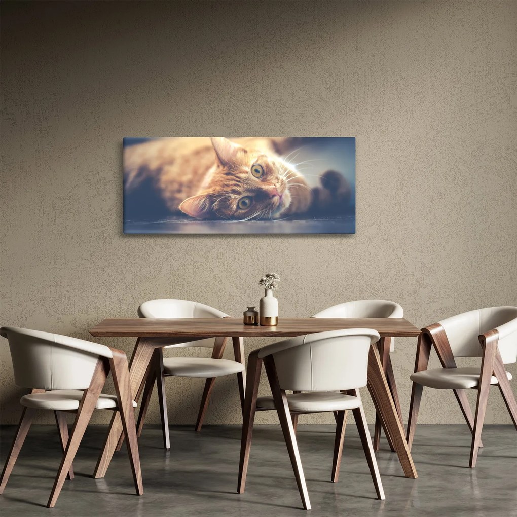 Obraz mačky na podlahe (120x50 cm)