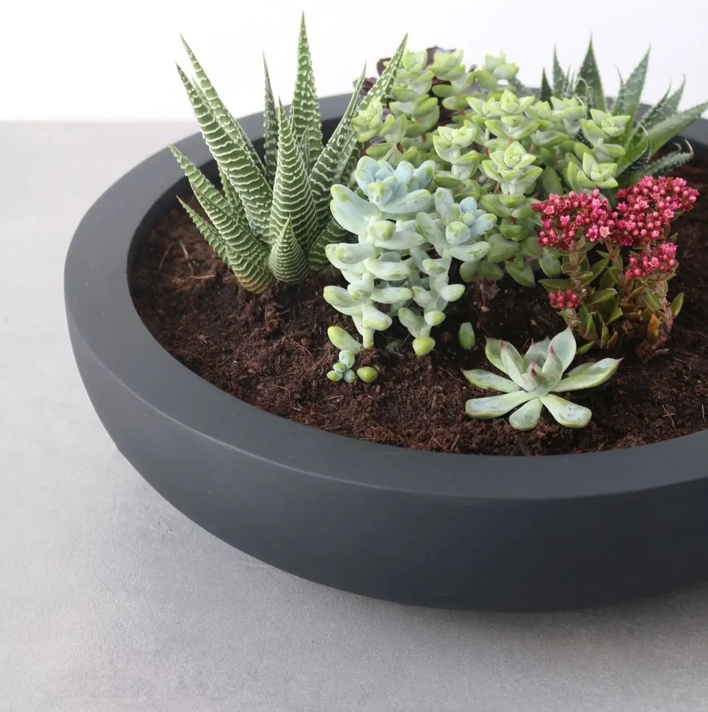 Okrasná miska PLANA, sklolaminát, 43x11 cm, antracit