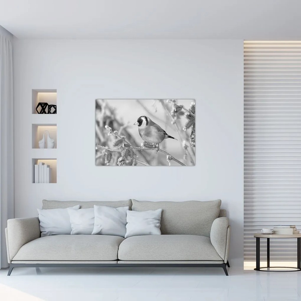 Obraz - Vtáčik v zime (90x60 cm)