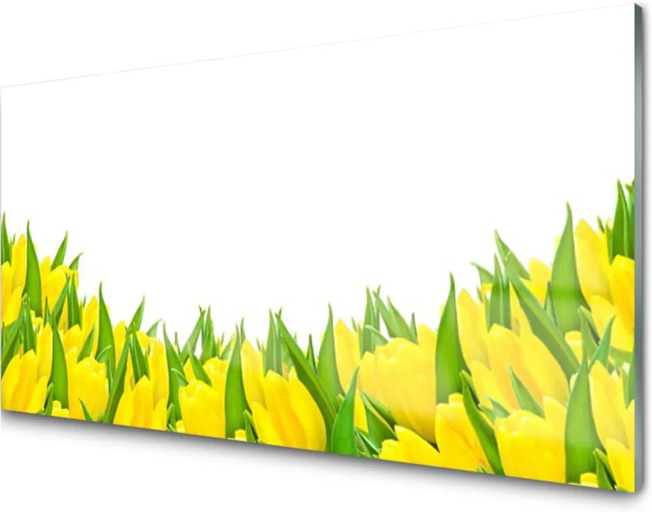 Obraz plexi Kvety Príroda Tulipány