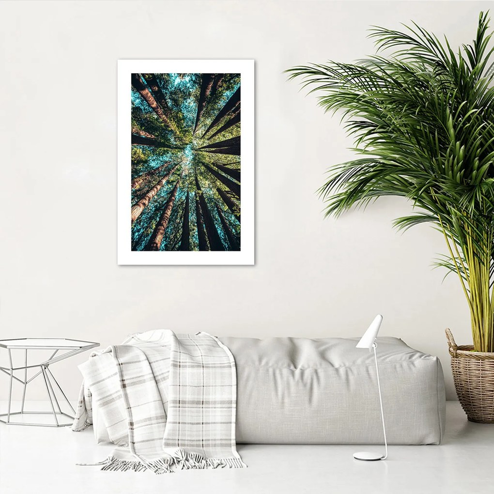 Gario Plagát Konáre vysokých stromov Farba rámu: Bez rámu, Rozmery: 40 x 60 cm
