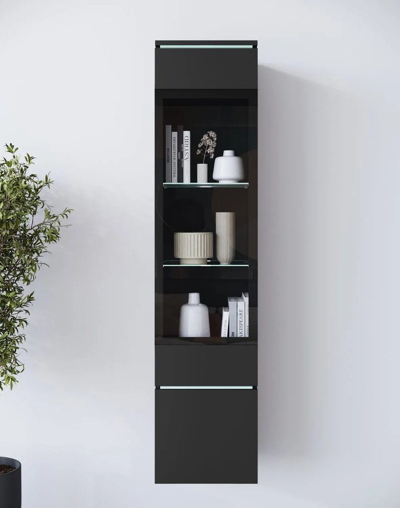 Úzka stĺpková LED vitrína Vera čierna (VRBZ002+LED)