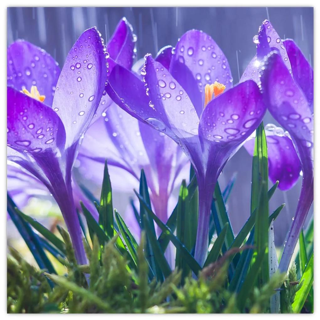 Obraz kvetov pri daždi