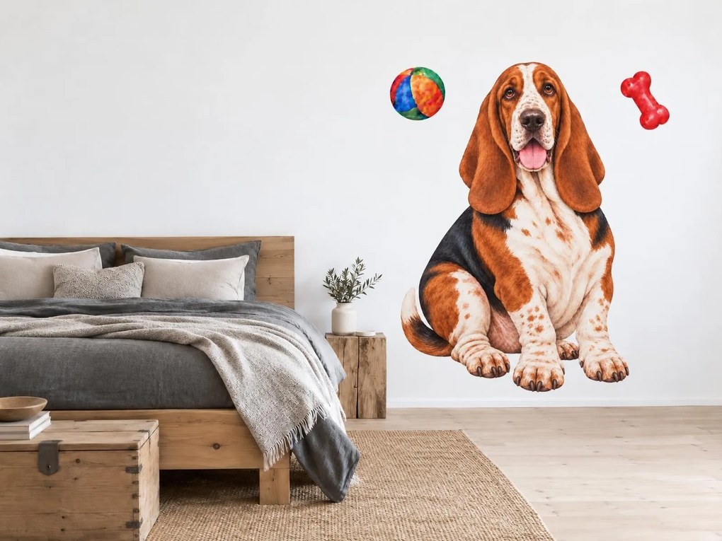 Basset hound s loptičkou a kosťou realistické nálepky na stenu do obývačky arch 31 x 46 cm