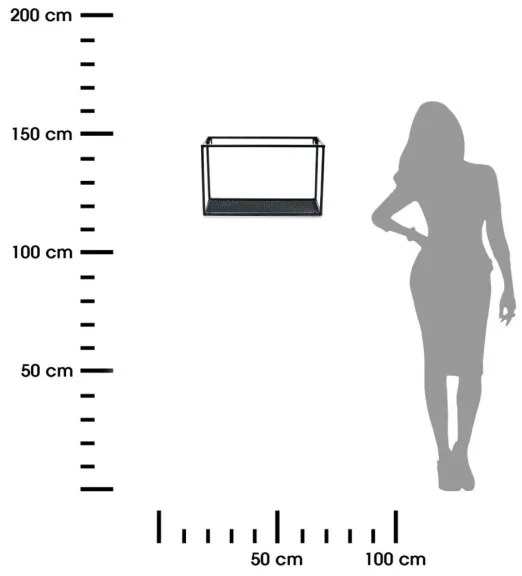 Nástenná polica LOFT 30x50 cm