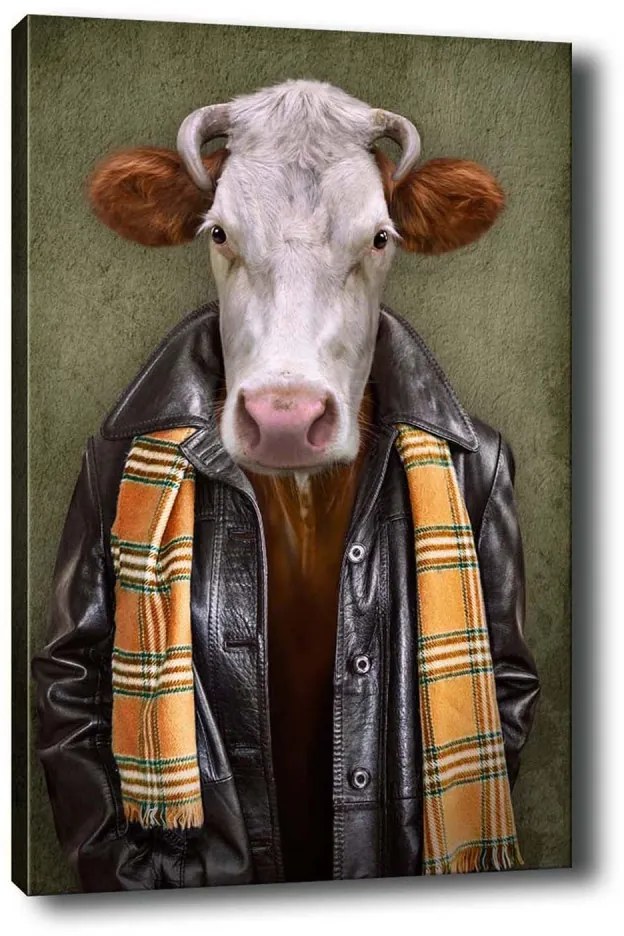 Obraz na plátne Portrét kravy 50x70 cm