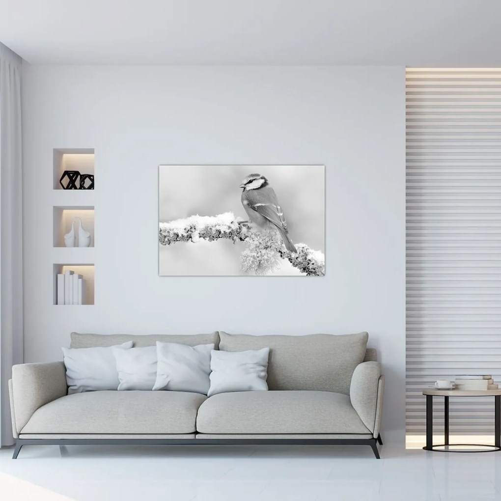 Obraz - Vtáčik na vetve (90x60 cm)