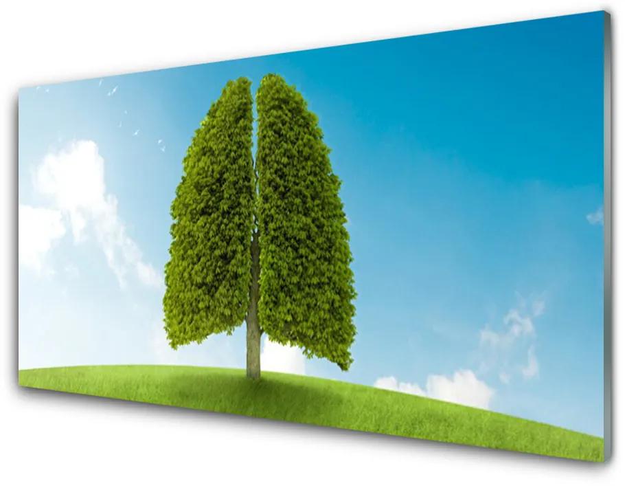 Skleneny obraz Tráva strom pľúca príroda 120x60 cm
