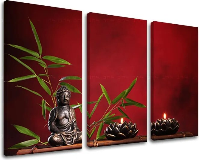 Obraz na stenu 3 dielny FENG SHUI FS013E30