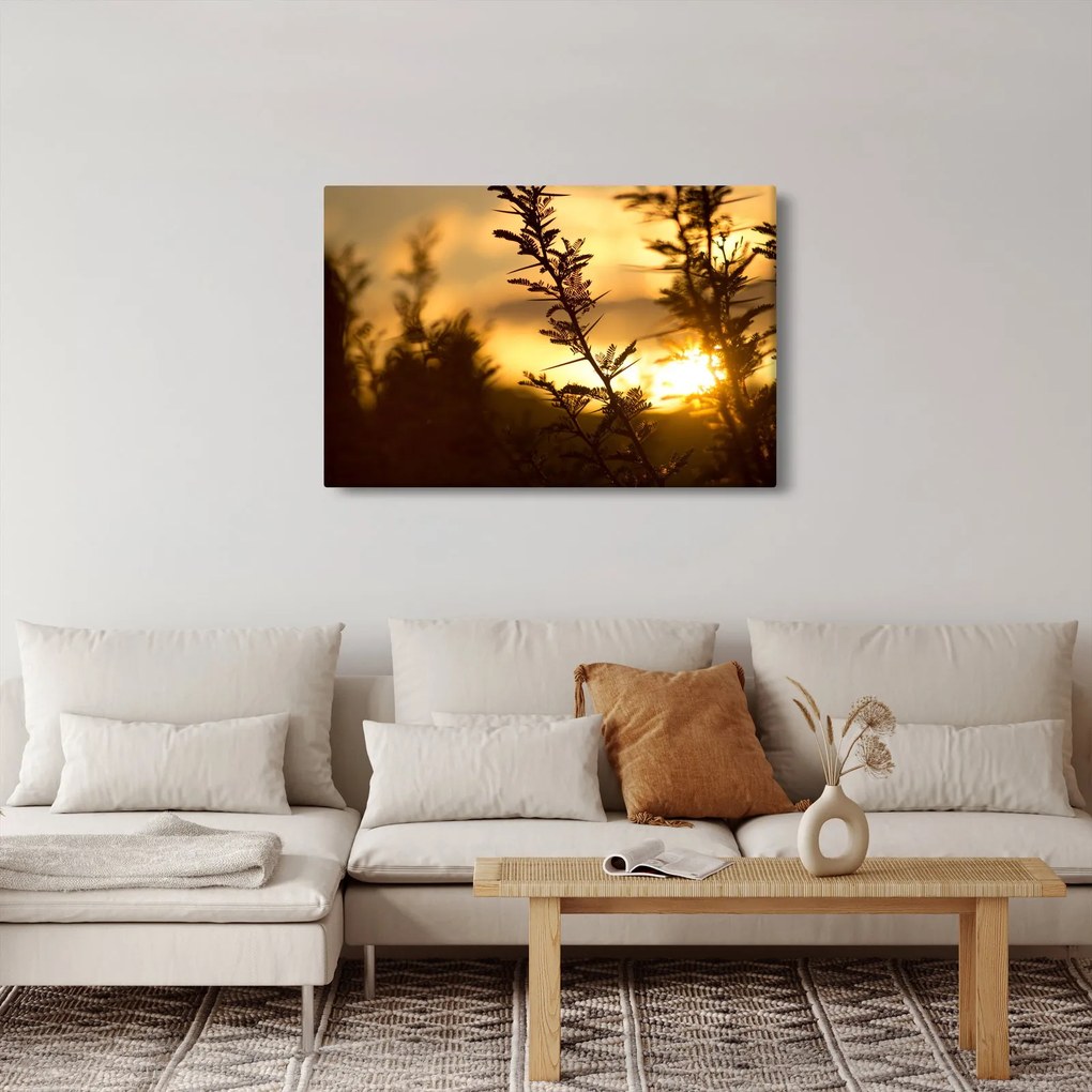 Obraz - Slnko zapadajúce za stromami (90x60 cm)