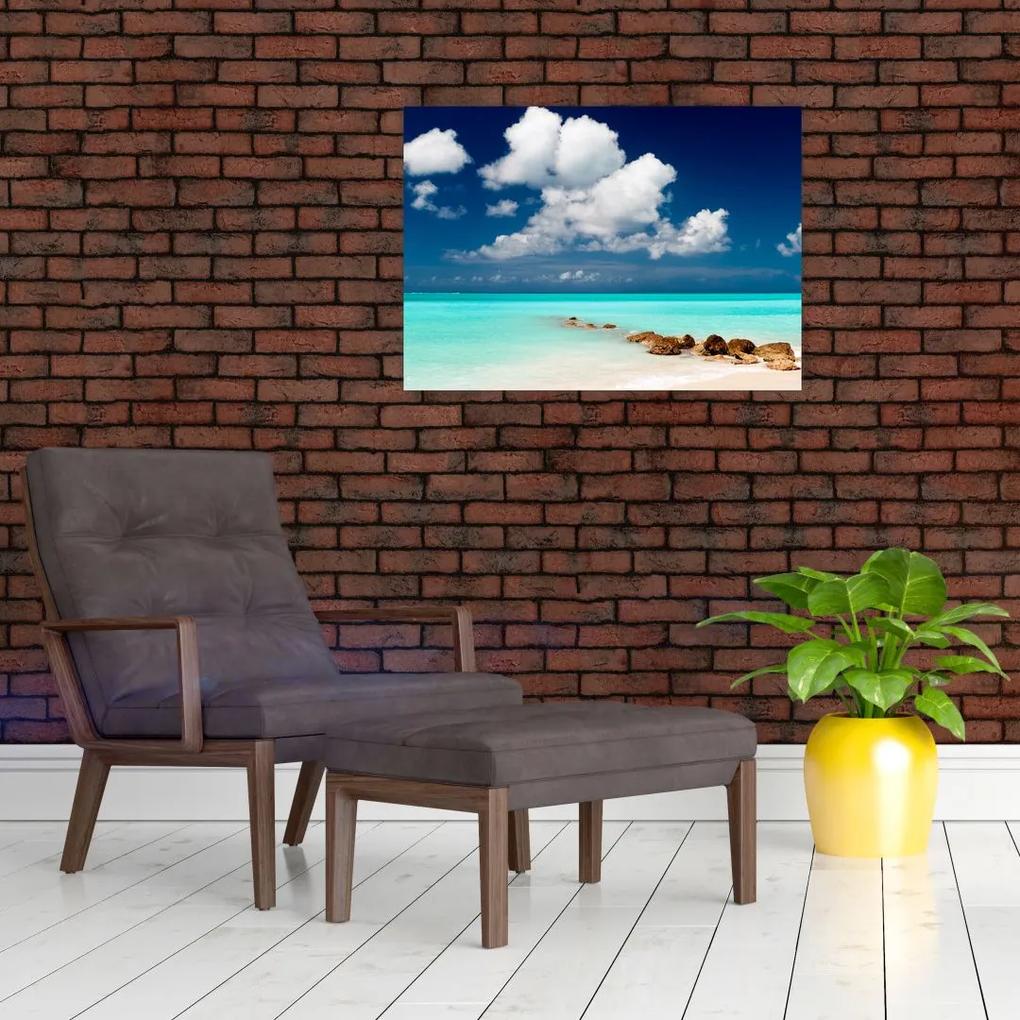 Sklenený obraz - Tropická pláž (70x50 cm)
